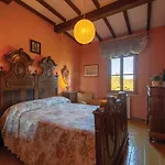 Cozy Home In Crespina Pi With Sauna Crespina